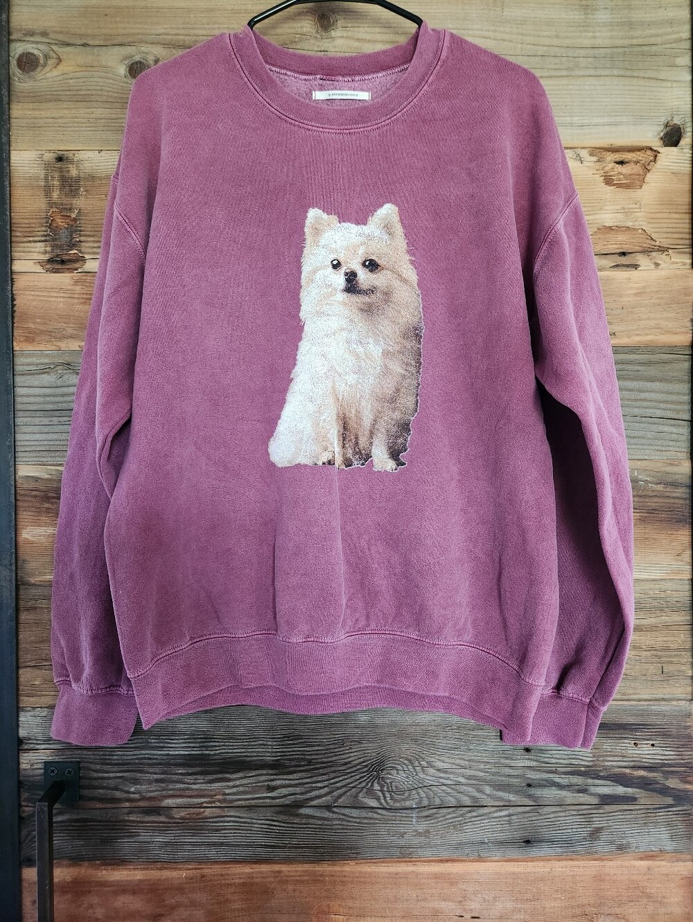 NWT Anthropologie Purple Pomeranian Graphic Sweatshirt Size Small - Picture 3 of 5